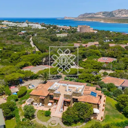 Lentischio * Stintino